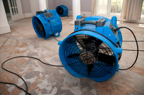 Best Ceiling water damage repair  in Bardmoor, FL