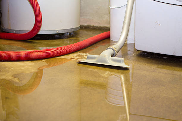Professional Water damage restoration in Bardmoor, FL