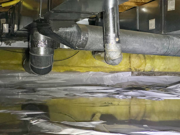 Best 24/7 water damage repair  in Bardmoor, FL