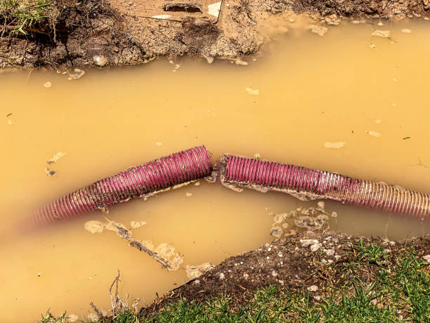 Local water damage restoration in Bardmoor, FL